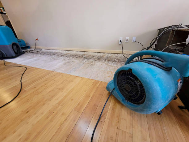 Professional Water Damage Repair technician working in Bakerstown, PA